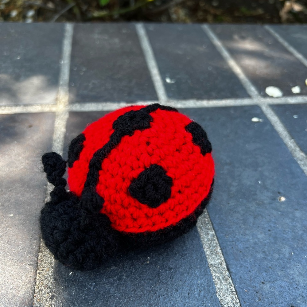 Hand Crocheted Little Ladybug Plushie Stuffed Animal! - Picture 7 of 12